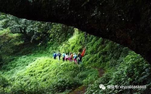 影视工厂